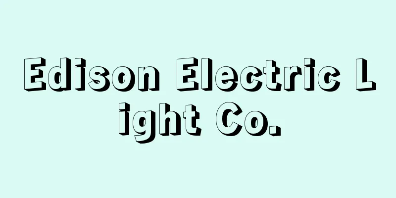 Edison Electric Light Co.