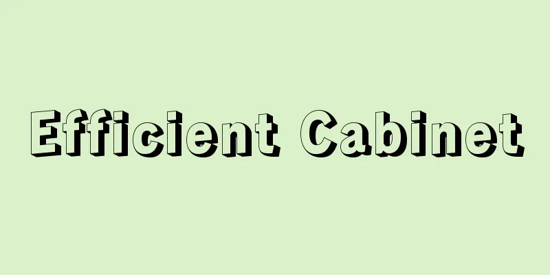 Efficient Cabinet