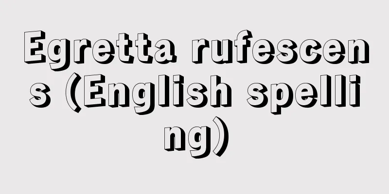 Egretta rufescens (English spelling)