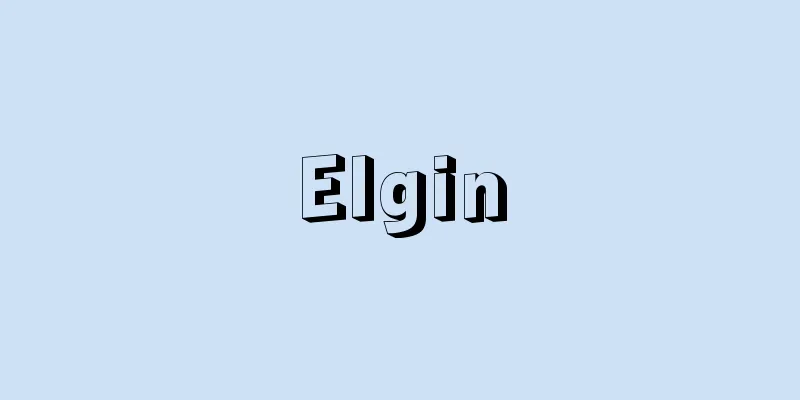 Elgin