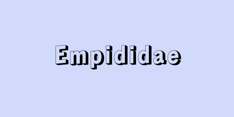 Empididae