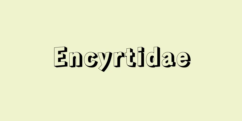 Encyrtidae