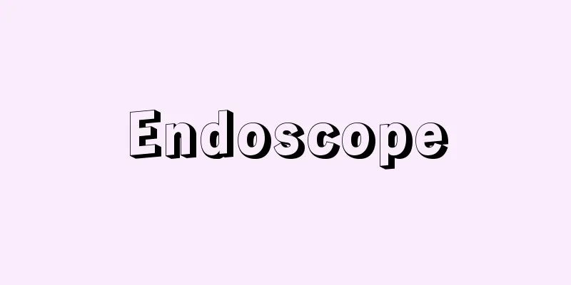 Endoscope