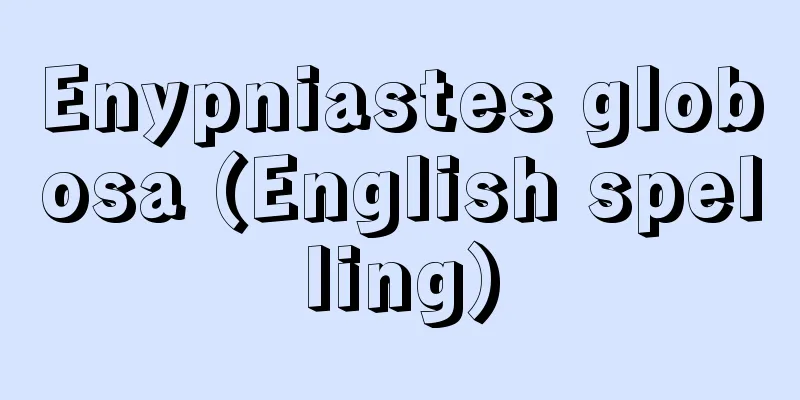 Enypniastes globosa (English spelling)