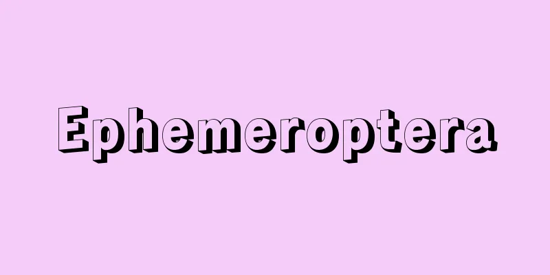 Ephemeroptera