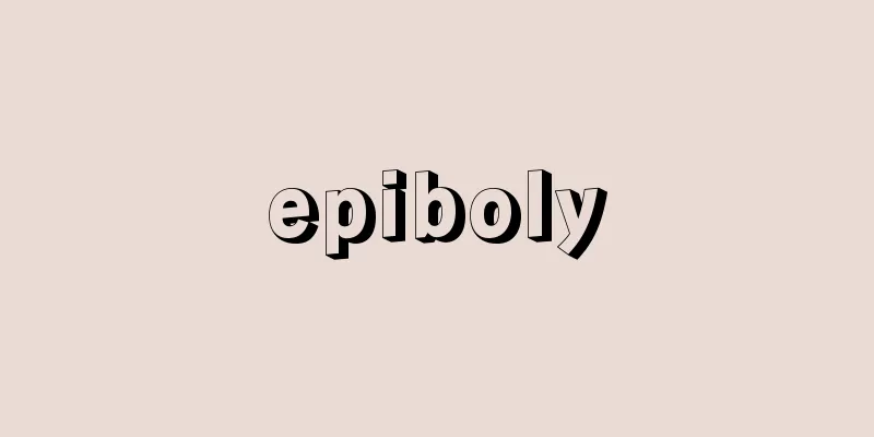 epiboly