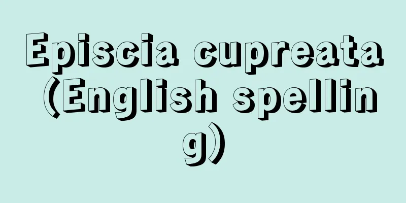 Episcia cupreata (English spelling)