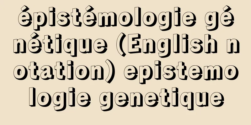 épistémologie génétique (English notation) epistemologie genetique