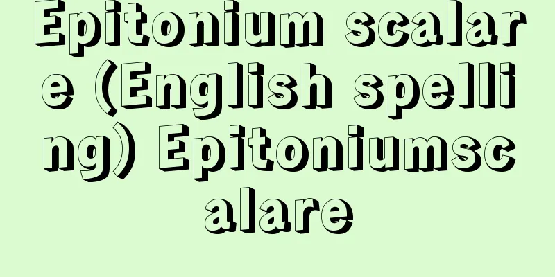 Epitonium scalare (English spelling) Epitoniumscalare