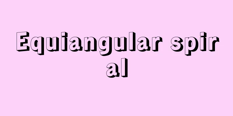 Equiangular spiral