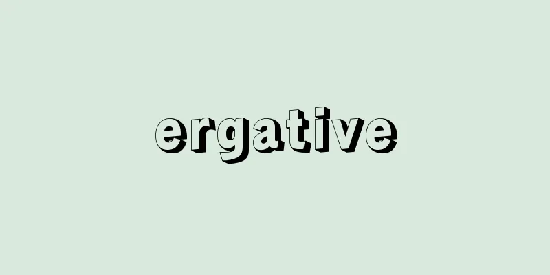 ergative