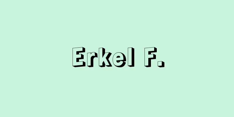 Erkel F.