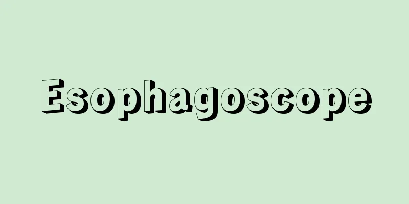 Esophagoscope