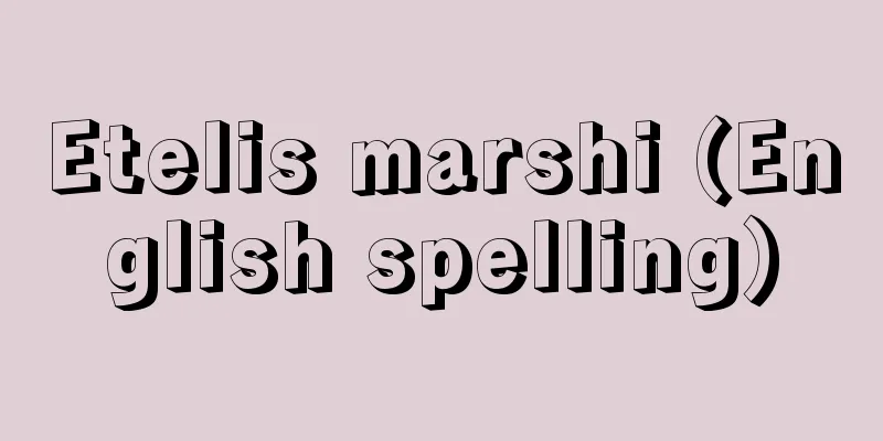 Etelis marshi (English spelling)