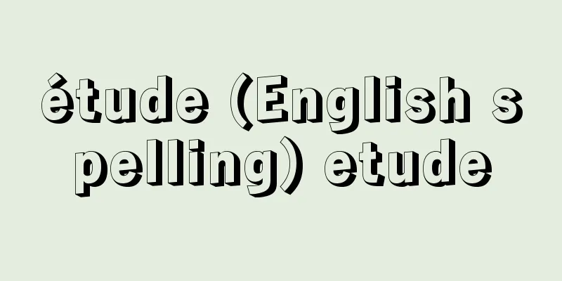 étude (English spelling) etude