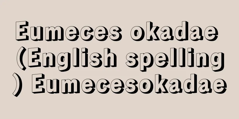Eumeces okadae (English spelling) Eumecesokadae