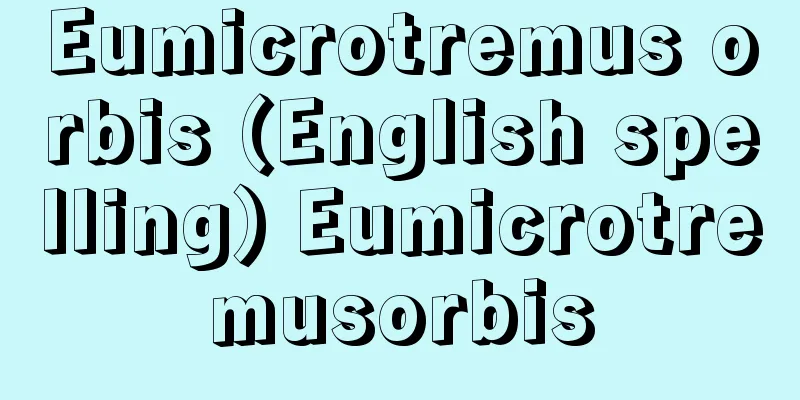 Eumicrotremus orbis (English spelling) Eumicrotremusorbis