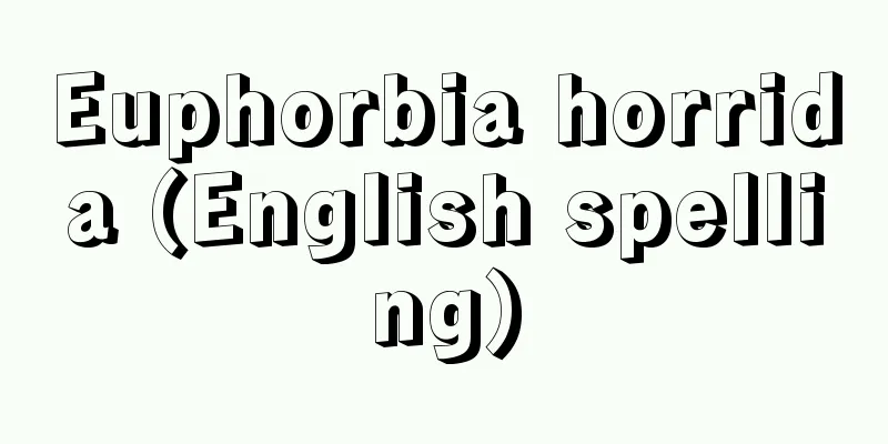Euphorbia horrida (English spelling)