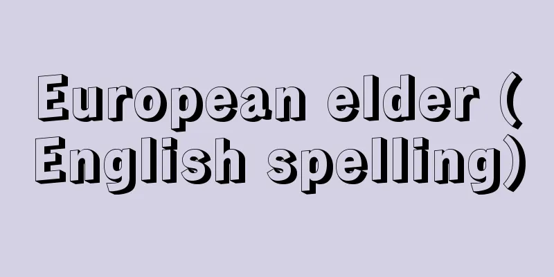 European elder (English spelling)