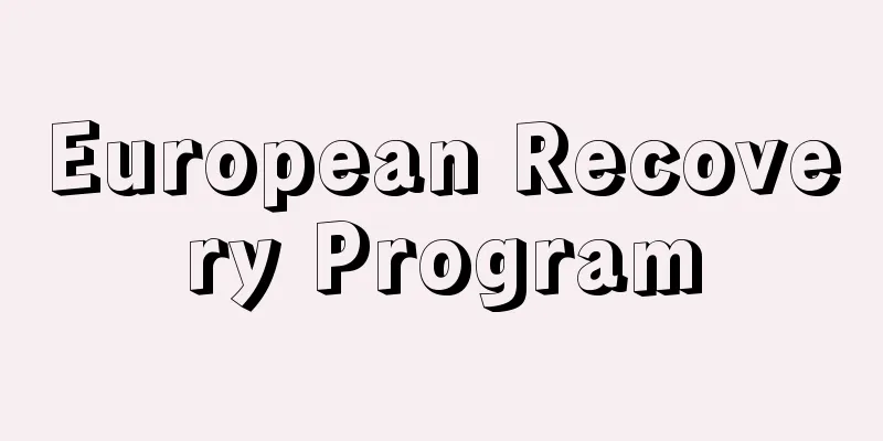 European Recovery Program