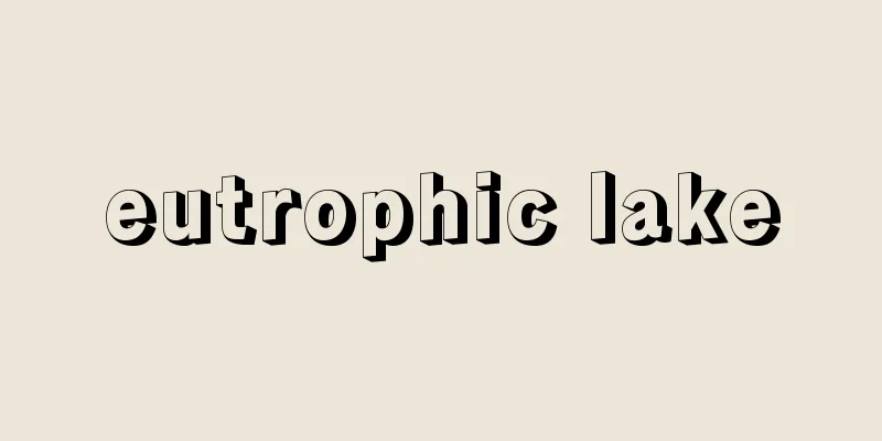 eutrophic lake