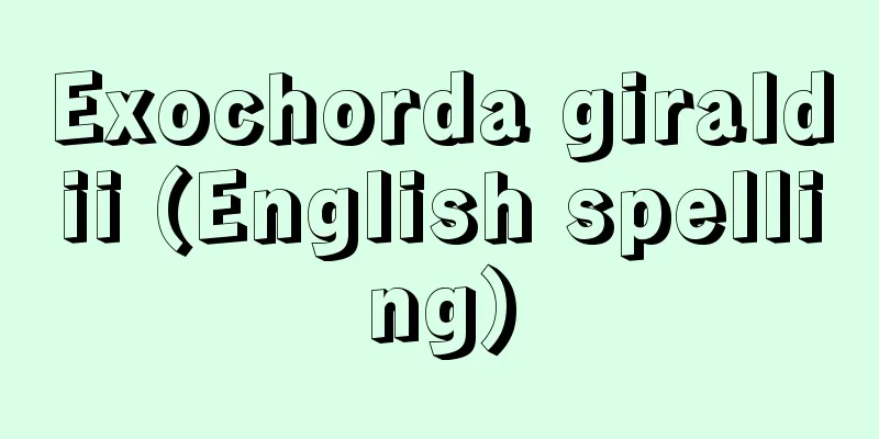 Exochorda giraldii (English spelling)