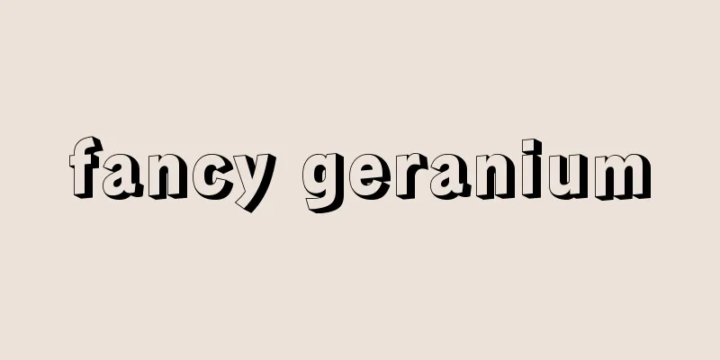 fancy geranium