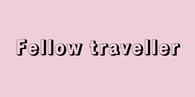 Fellow traveller