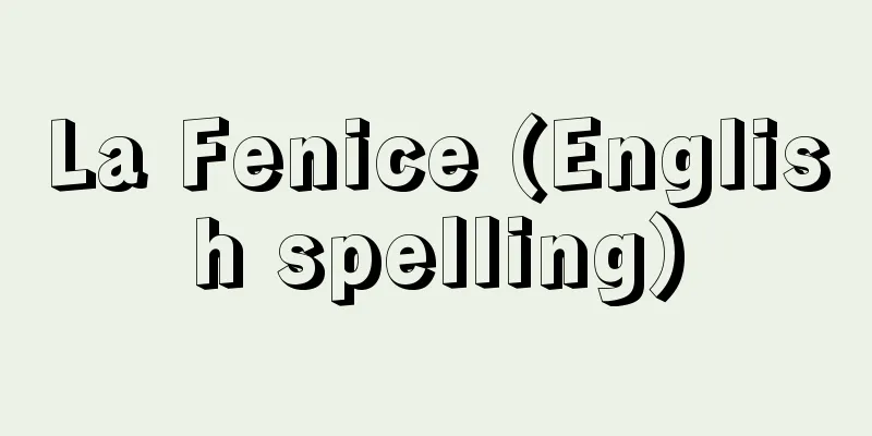 La Fenice (English spelling)