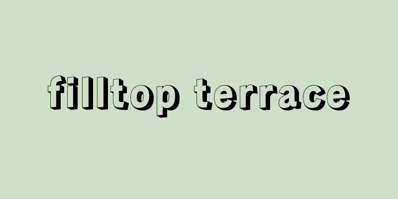 filltop terrace