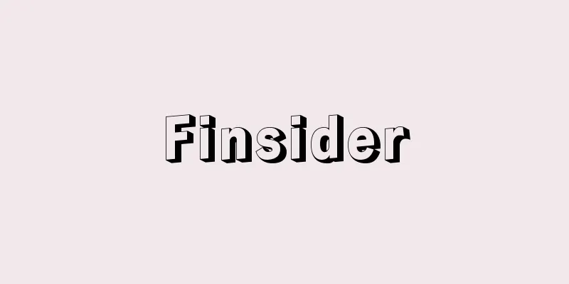 Finsider
