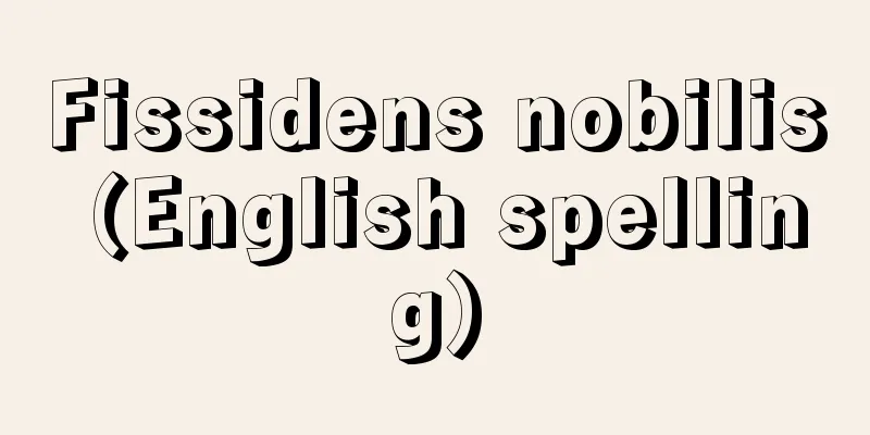 Fissidens nobilis (English spelling)