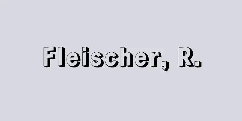 Fleischer, R.