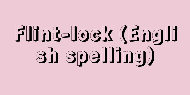 Flint-lock (English spelling)