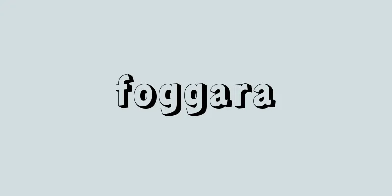 foggara