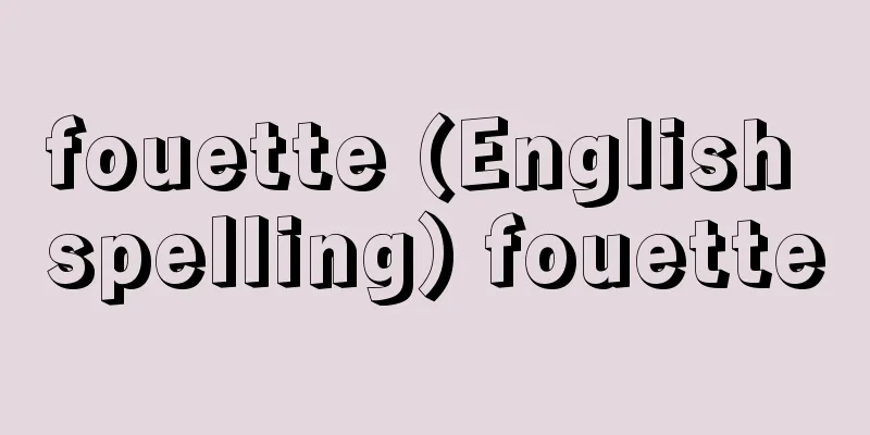 fouette (English spelling) fouette