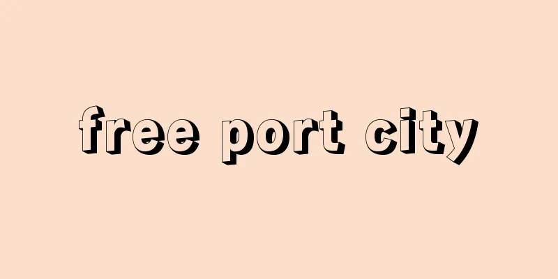 free port city