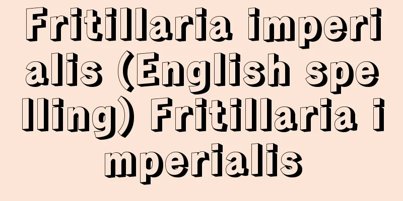 Fritillaria imperialis (English spelling) Fritillaria imperialis