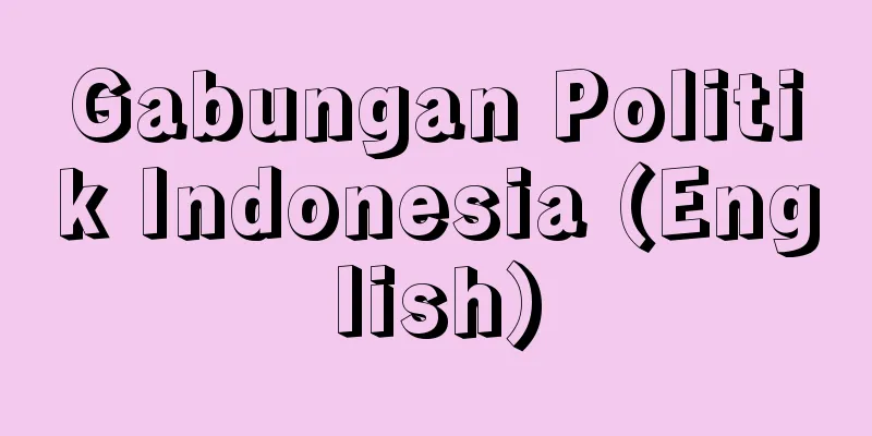 Gabungan Politik Indonesia (English)