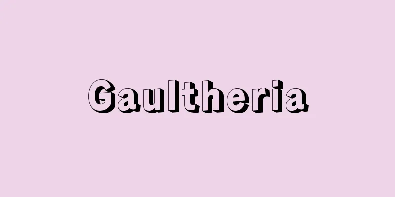 Gaultheria
