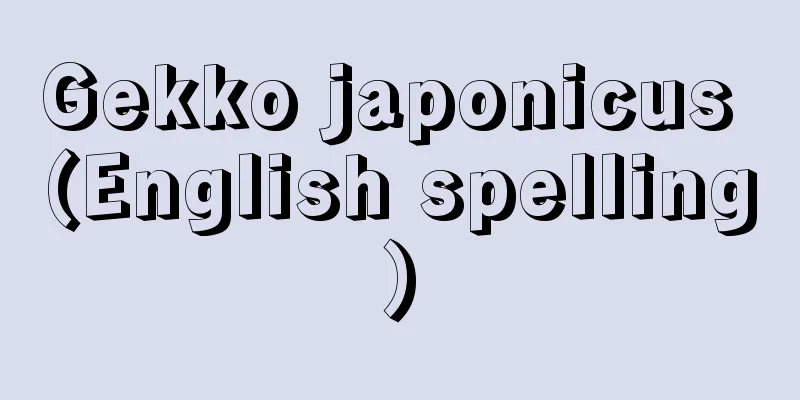 Gekko japonicus (English spelling)