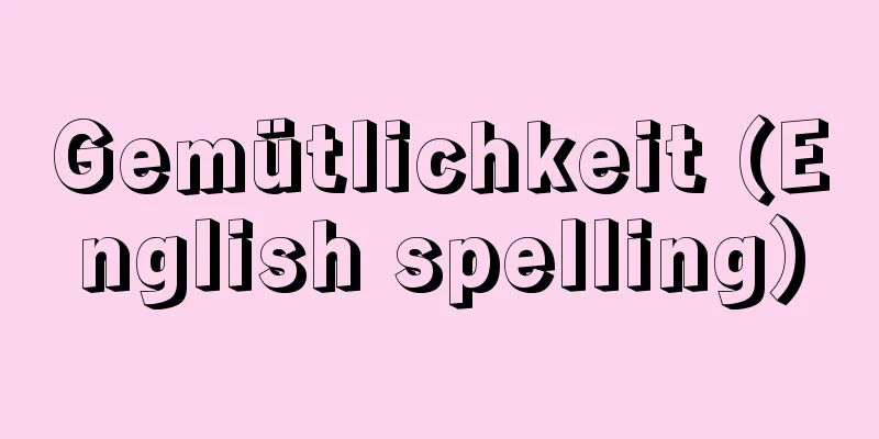 Gemütlichkeit (English spelling)