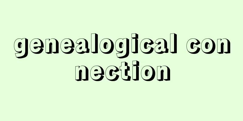 genealogical connection