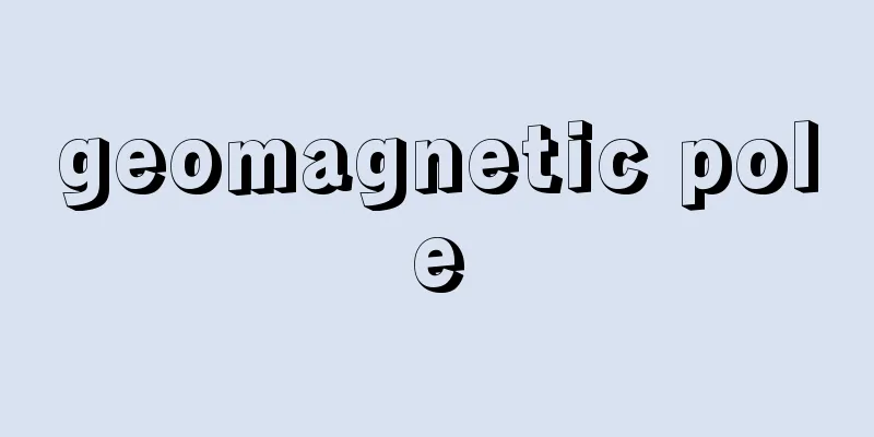 geomagnetic pole