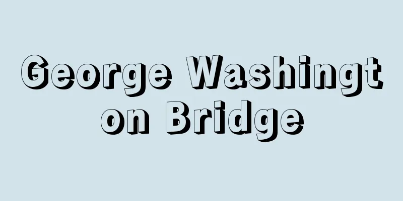 George Washington Bridge