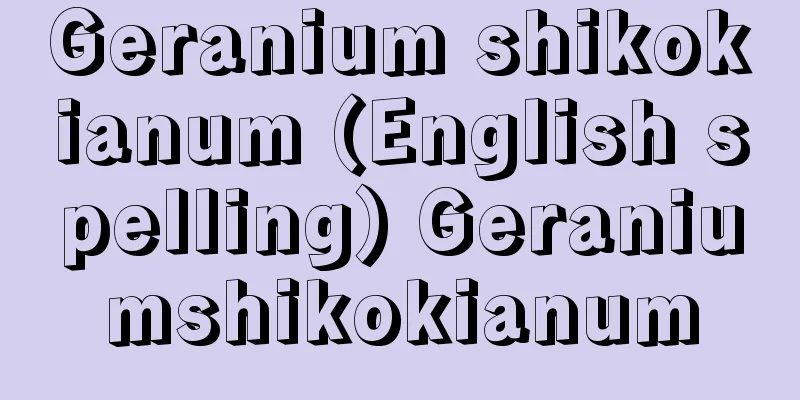 Geranium shikokianum (English spelling) Geraniumshikokianum