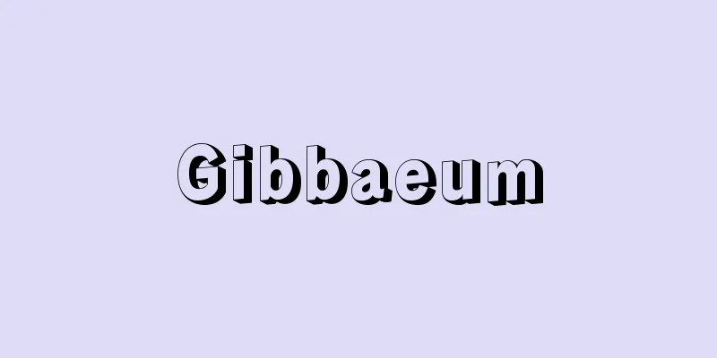 Gibbaeum