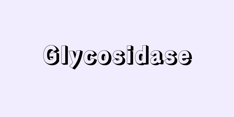 Glycosidase