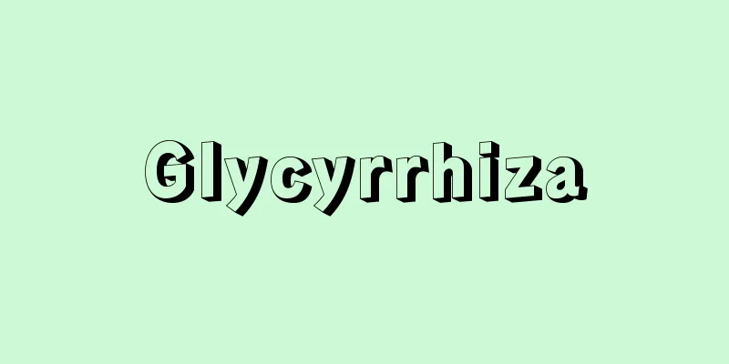 Glycyrrhiza