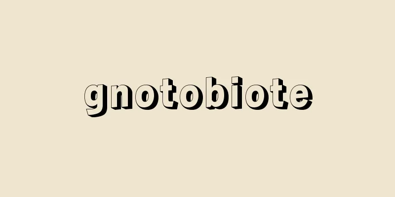 gnotobiote